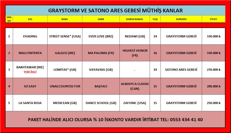 GRAYSTORM VE SATONO ARES GEBESİ İTHAL KISRAKLAR